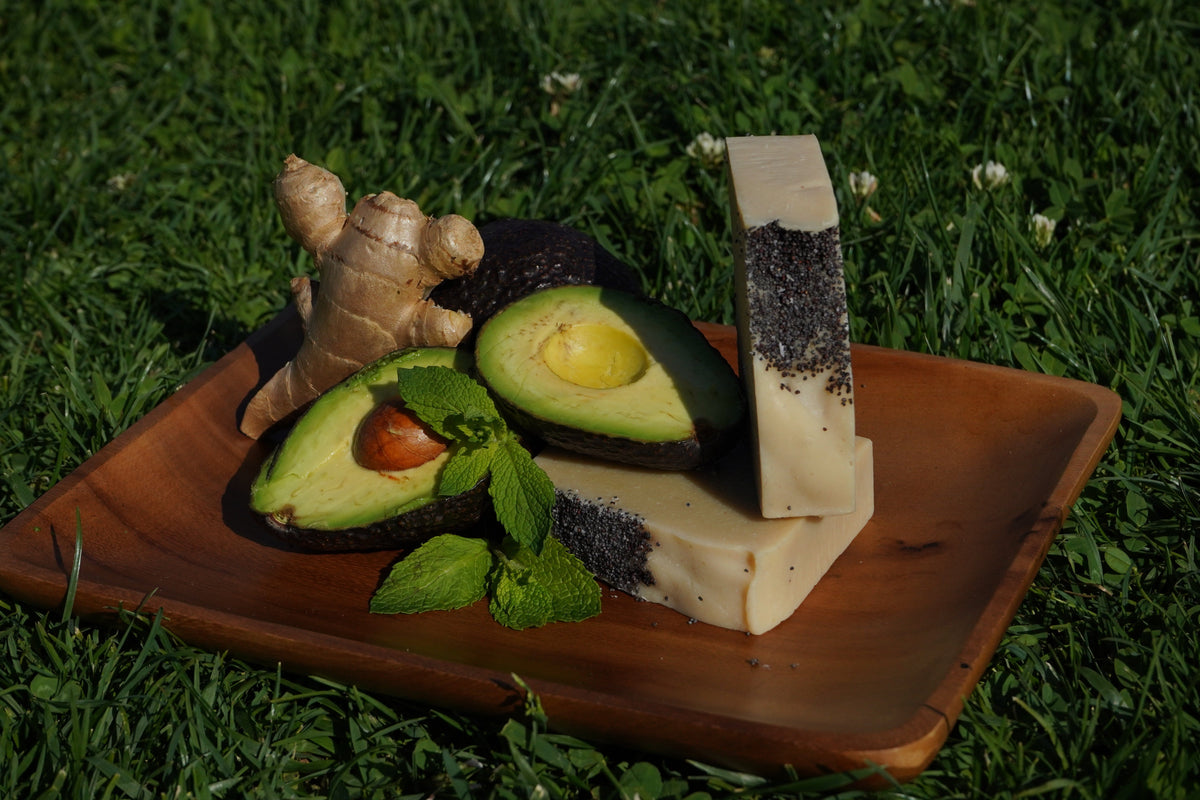Avocado Spearmint Soap Bar Handcrafted Soap Olivia's Heritage 