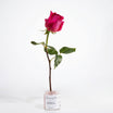 Rose Mask, a soothing skincare treatment that hydrates and calms the skin, available at uliviasheritage.com